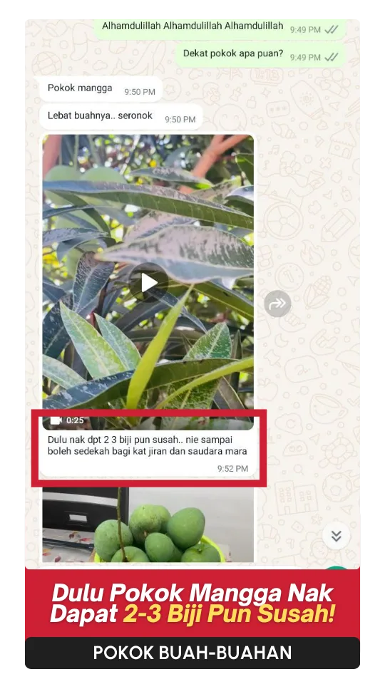 Testimoni-Buah-4.webp
